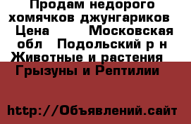 Продам недорого хомячков джунгариков › Цена ­ 80 - Московская обл., Подольский р-н Животные и растения » Грызуны и Рептилии   